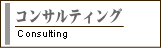 インターネット関連・コンサルティング